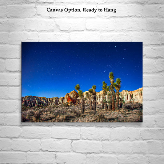 Mojave Desert Night Art - Joshua Tree Starry Sky Landscape Print