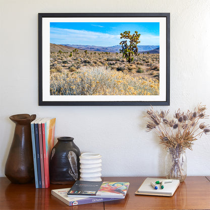 Joshua Tree & Creosote Art - Death Valley Mojave Desert Print