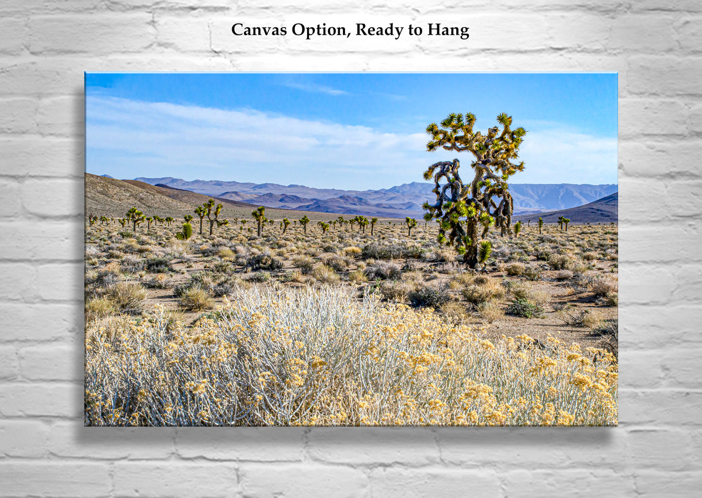 Joshua Tree & Creosote Art - Death Valley Mojave Desert Print