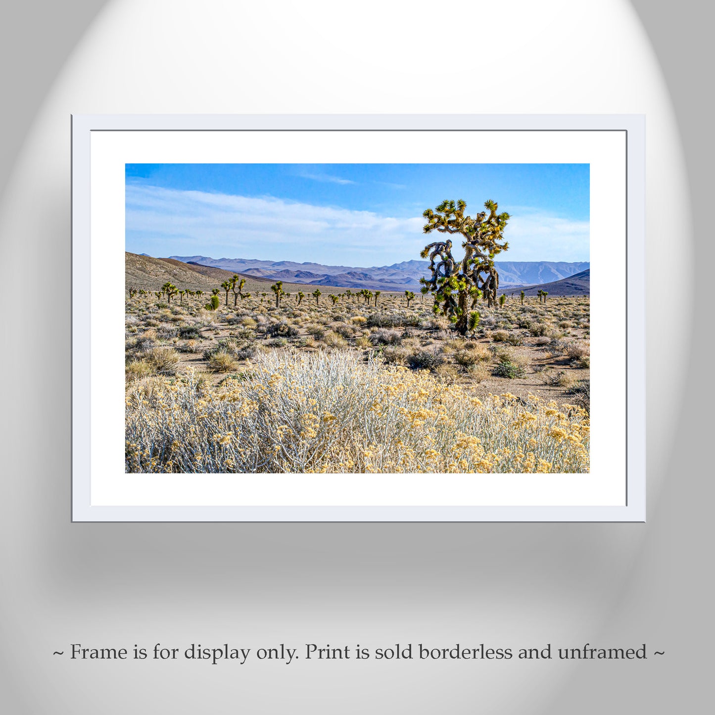 Joshua Tree & Creosote Art - Death Valley Mojave Desert Print