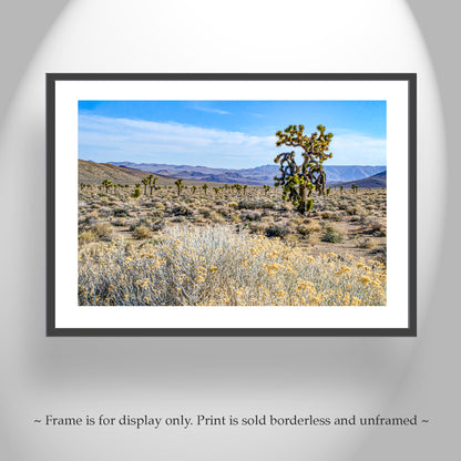 Joshua Tree & Creosote Art - Death Valley Mojave Desert Print