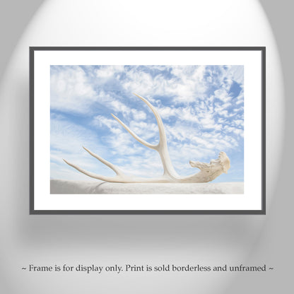 Surreal Photography – Deer Antler & Sky Wall Art | Tucson Arizona