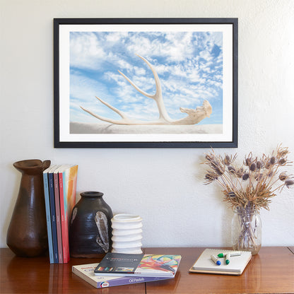 Surreal Photography – Deer Antler & Sky Wall Art | Tucson Arizona