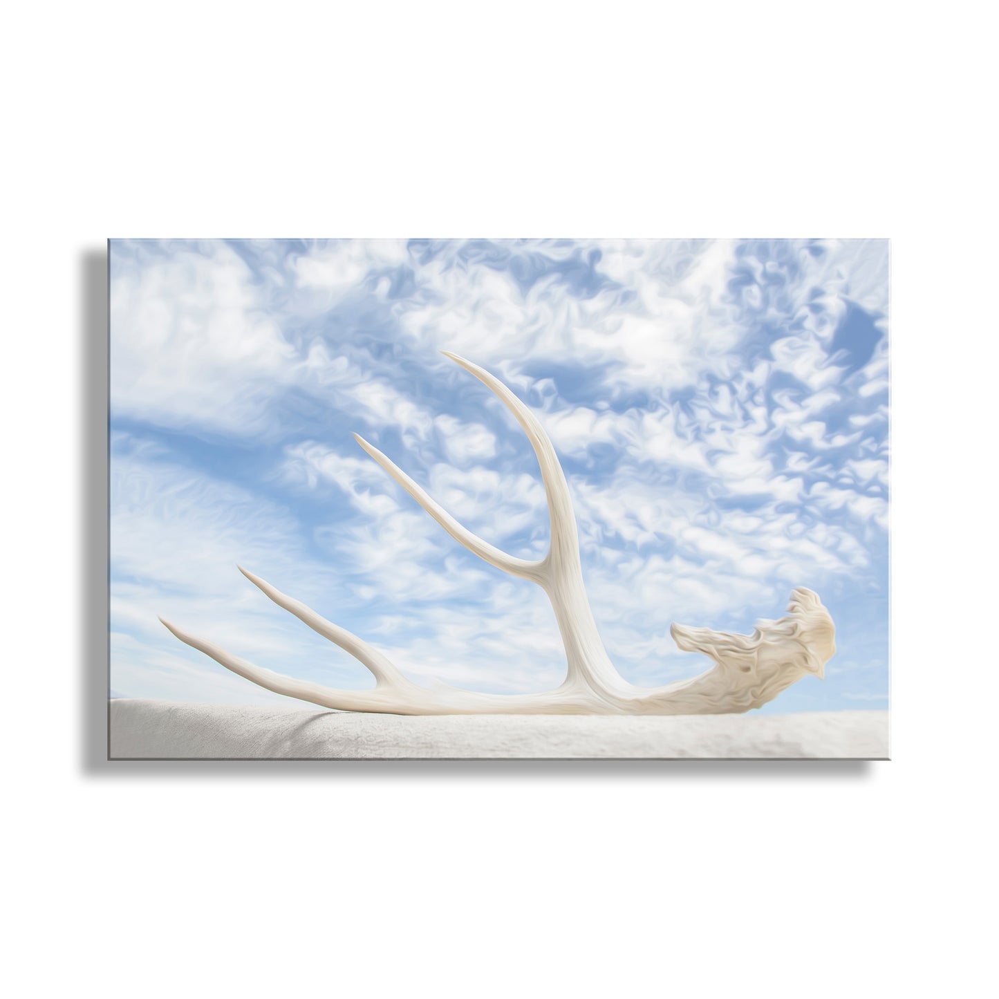 Antler on a white surface with a blue sky and clouds in the background. Surreal Photography – Deer Antler & Sky Wall Art | Tucson Arizona