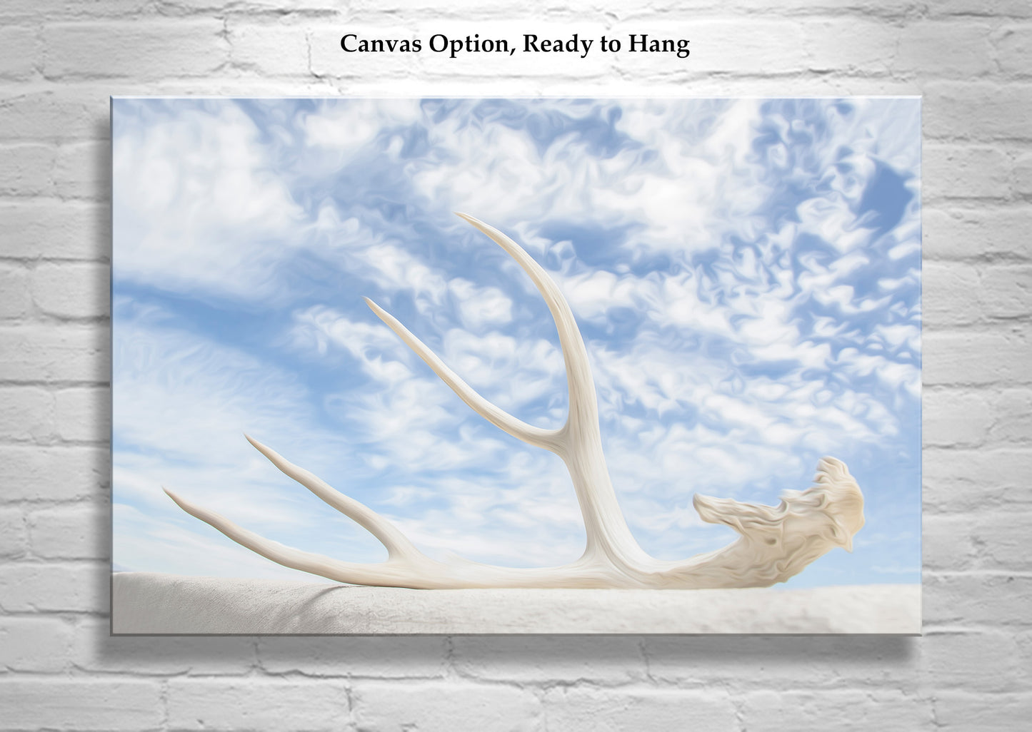 Surreal Photography – Deer Antler & Sky Wall Art | Tucson Arizona