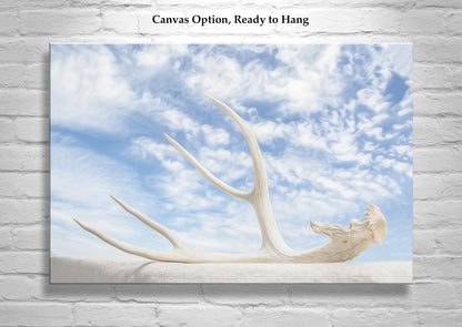 Surreal Photography – Deer Antler & Sky Wall Art | Tucson Arizona