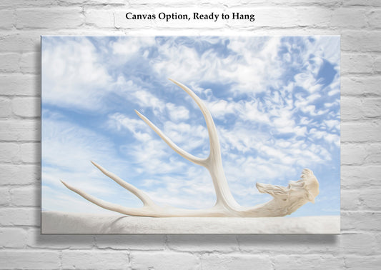 Surreal Photography – Deer Antler & Sky Wall Art | Tucson Arizona