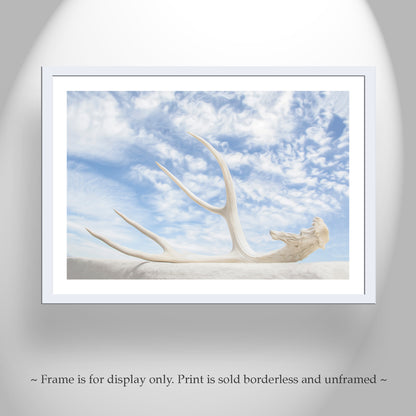 Surreal Photography – Deer Antler & Sky Wall Art | Tucson Arizona