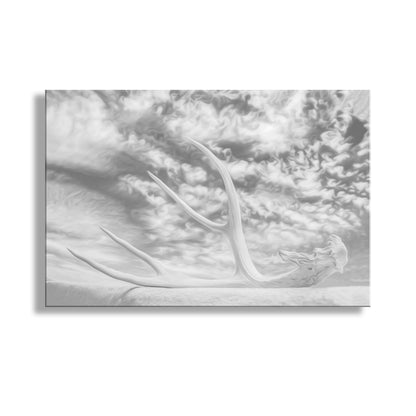 Surreal Black and White Photo Wall Art with Deer Antler and Sky