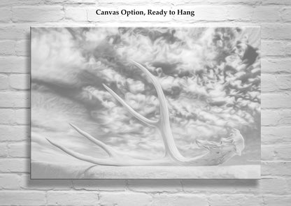 Surreal Black & White Photo – Deer Antler & Sky Wall Art | Tucson AZ