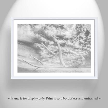 Surreal Black & White Photo – Deer Antler & Sky Wall Art | Tucson AZ
