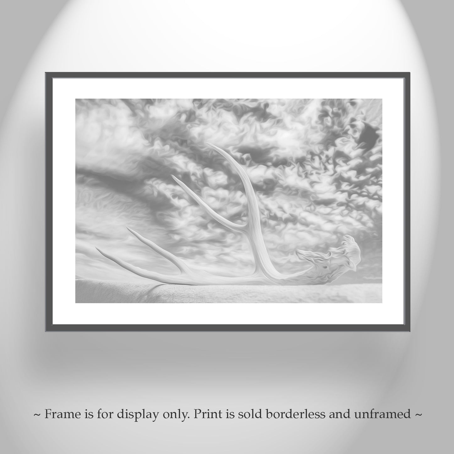 Surreal Black & White Photo – Deer Antler & Sky Wall Art | Tucson AZ