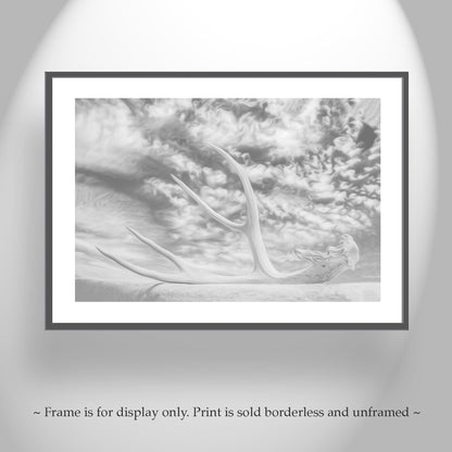 Surreal Black & White Photo – Deer Antler & Sky Wall Art | Tucson AZ