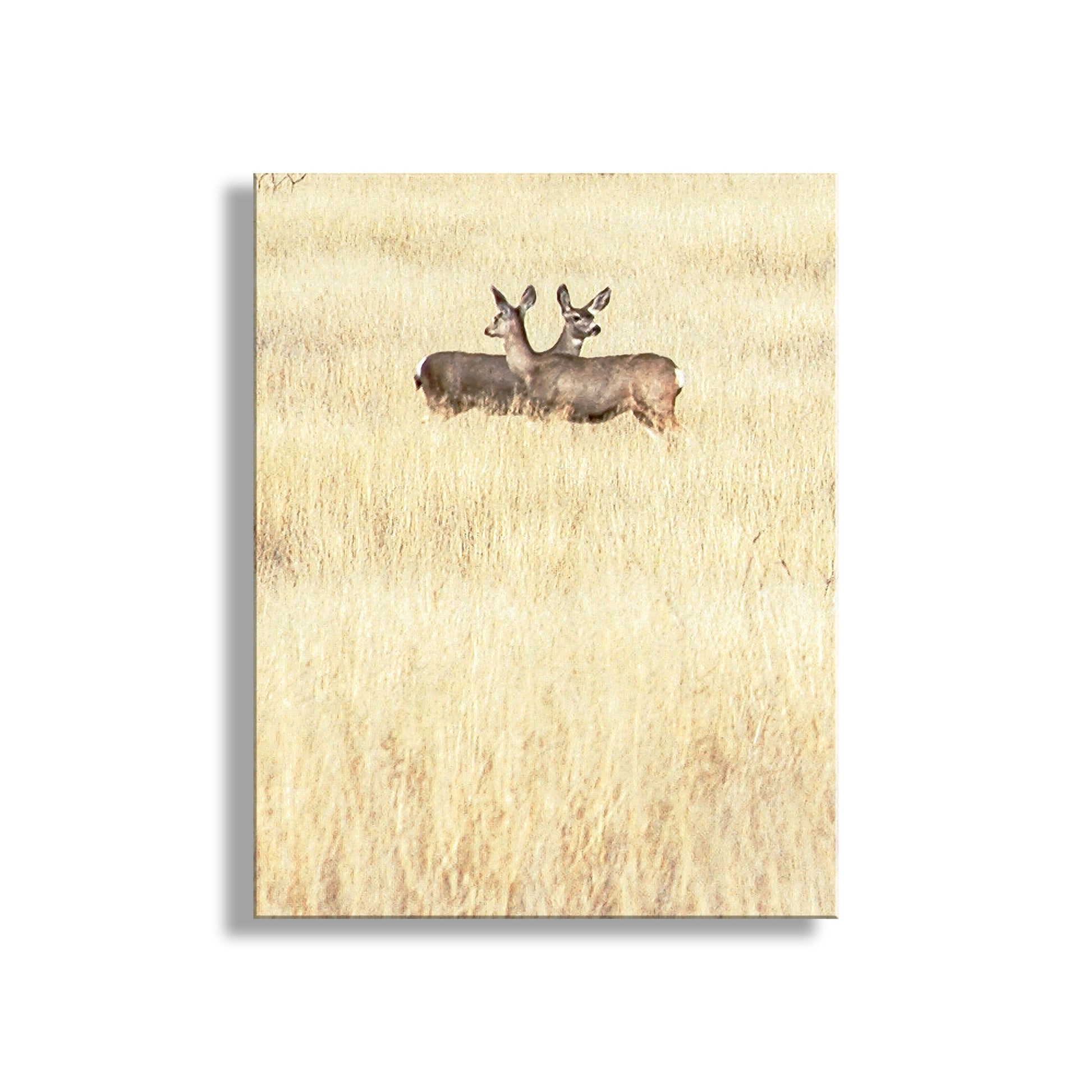 Notebook with a deer illustration on a beige textured background. A charming, peaceful picture of love &amp; togetherness in a pair of doe deer. I captured this scene in the yellow grasslands of Buenos Aires National Wildlife Refuge, borderlands Arizona USA! Original, unique signed art by Murray Bolesta.