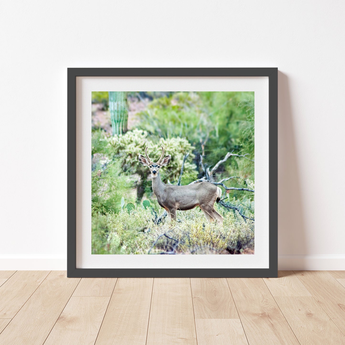 Desert Wildlife Photography with Cactus and Wild Buck Deer