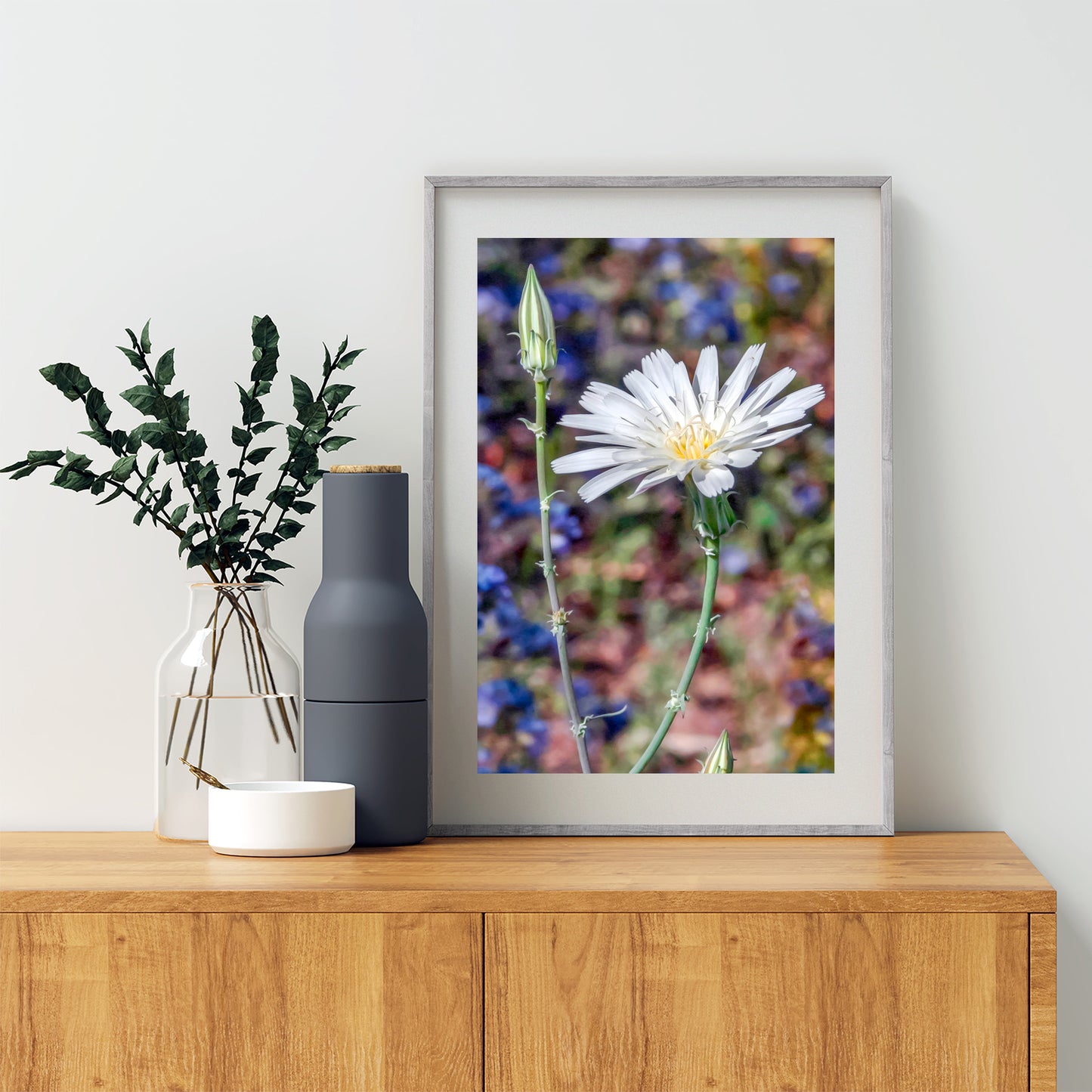 Arizona Canyon Wildflower Art as Floral Botanical Wall Decor