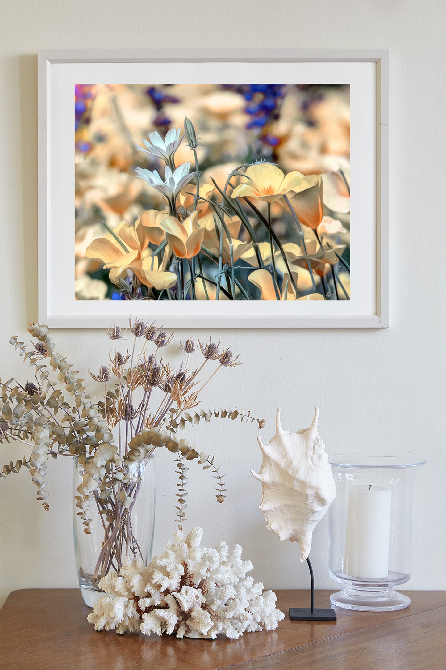 Golden Desert Poppies at Tucson Arizona Picacho Peak
