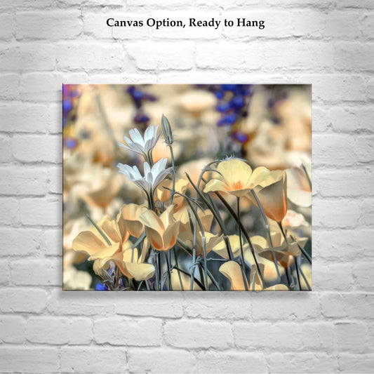 Golden Desert Poppies at Tucson Arizona Picacho Peak