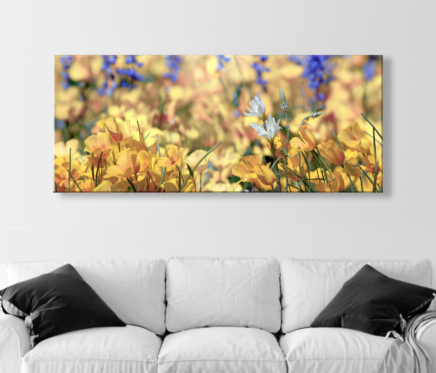 Desert Wildflower Art Print at Picacho Peak Tucson Arizona in Panorama