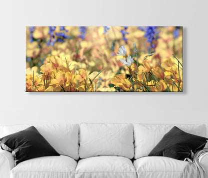 Desert Wildflower Art Print at Picacho Peak Tucson Arizona in Panorama