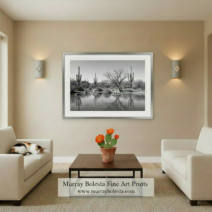 A black and white photograph depicting a rocky shoreline with a body of water, surrounded by desert vegetation and cacti. Black & White Canyon Stream - Arizona Wilderness Landscape Art Print by Murray Bolesta