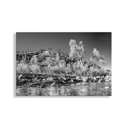 Black & White Canyon Landscape Art with Watery Stream in Arizona Wilderness