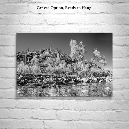 Black & White Canyon Landscape Art with Watery Stream in Arizona Wilderness