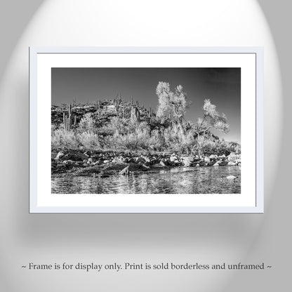Black & White Canyon Landscape Art with Watery Stream in Arizona Wilderness