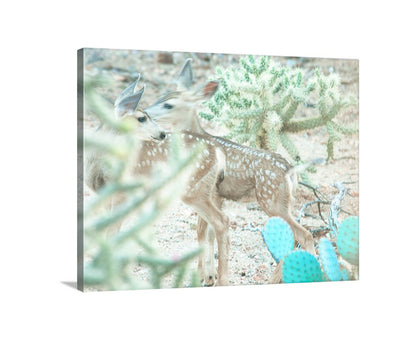 My cute pic of two desert fawns together in the cholla cactus landscape near my home in Arizona, planet Earth! In the foreground is blue Santa Rita Prickly Pear cactus. Original, unique signed art by Murray Bolesta.