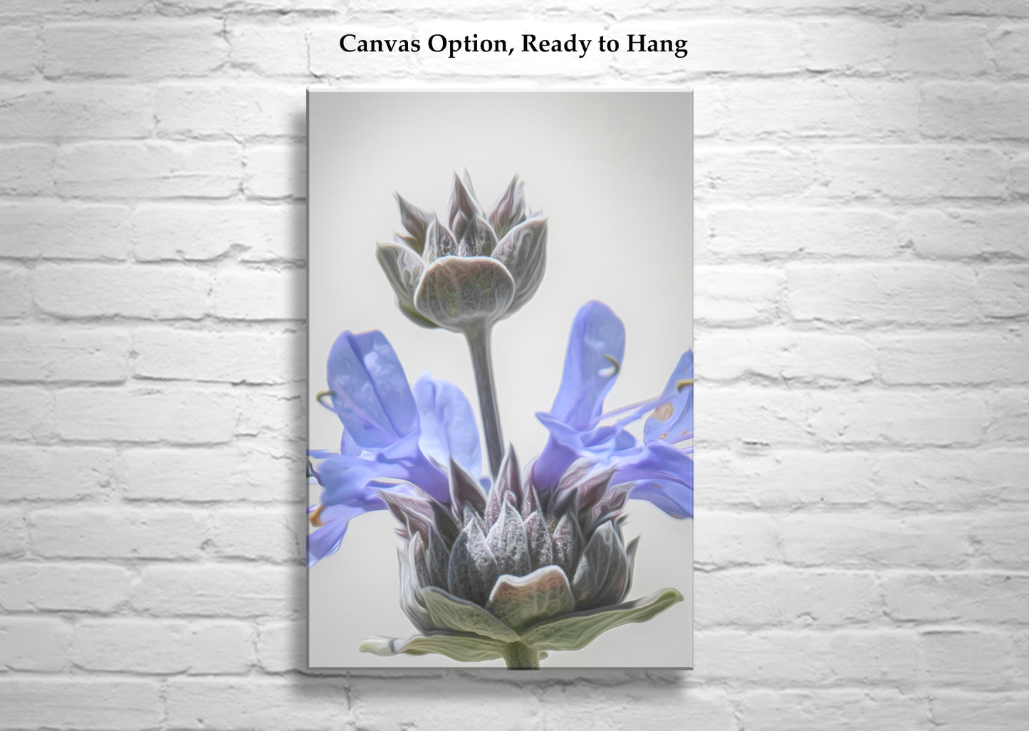 Desert Flower Wall Art with Southwestern Desert Sage by Murray Bolesta