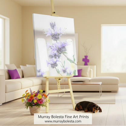 Canvas print of lavender flowers on a white background. Sage Wildflower Art Print as Pastel Flower Wall Decor by Murray Bolesta