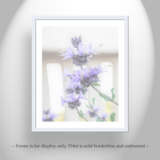 Sage Wildflower Art Print as Pastel Lavender Flower Wall Decor