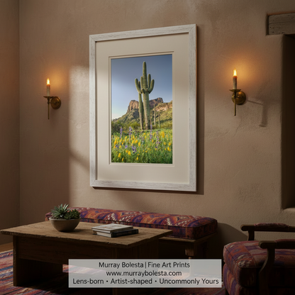 Cactus with mountains and flowers in the background. Arizona Wildflower Art with Desert Cactus Landscape at Picacho Peak Tucson by Murray Bolesta