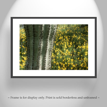 Picacho Peak Arizona Desert Wildflower Art with Cactus