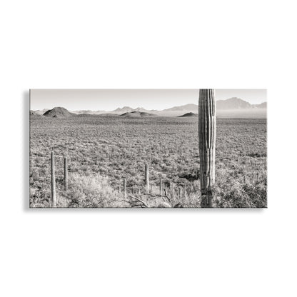 Desert Landscape Panoramic Art Print for Sale from Tucson Arizona USA