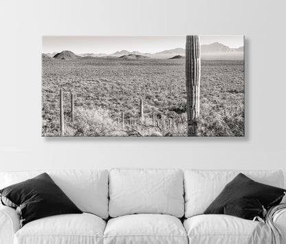 Desert Landscape Panoramic Art Print for Sale from Tucson Arizona USA
