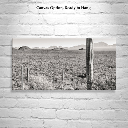 Desert Landscape Panoramic Art Print for Sale from Tucson Arizona USA