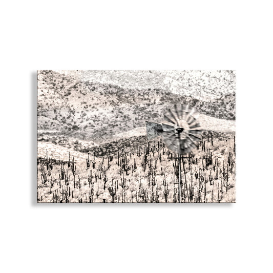 Arizona Desert Cactus Landscape Wall Art for Sale with Old Ranch Windmill