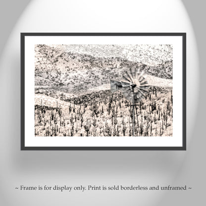 Arizona Desert Cactus Landscape Wall Art for Sale with Old Ranch Windmill