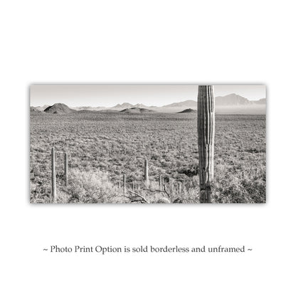 Desert Landscape Panoramic Art Print for Sale from Tucson Arizona USA