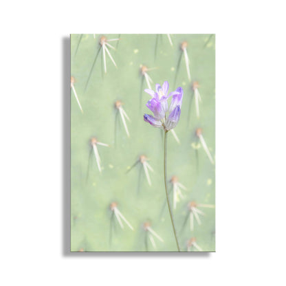 Pale Green Prickly Pear Cactus Art Print with Purple and Pink Desert Flower as Modern Southwestern Wall Decor