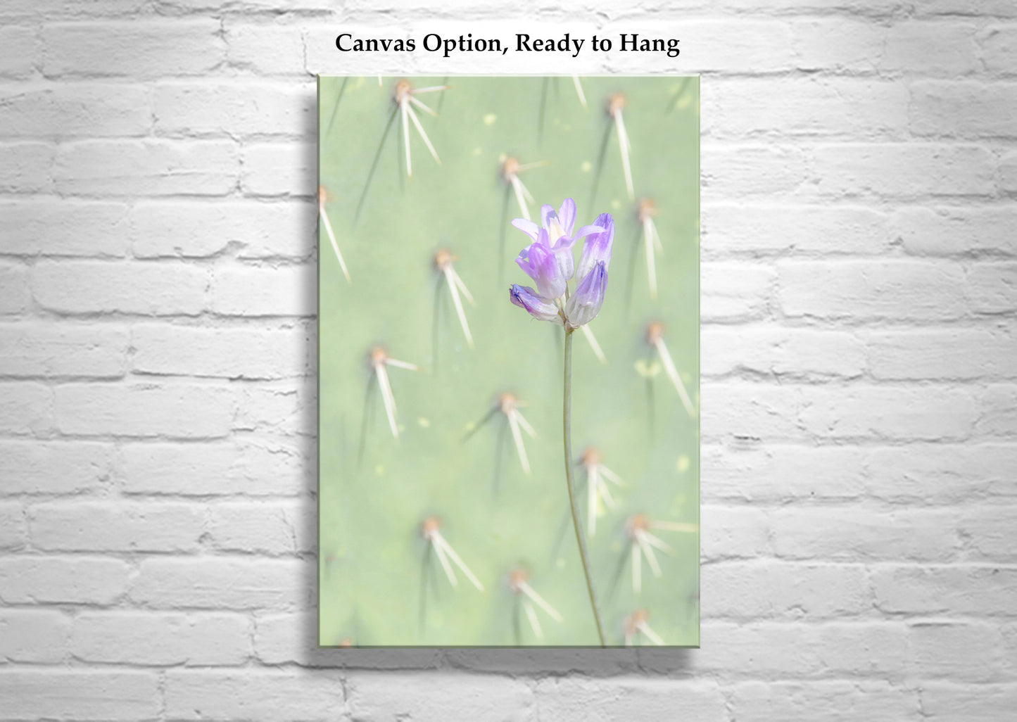 Pale Green Prickly Pear Cactus Art Print with Dainty Desert Flower