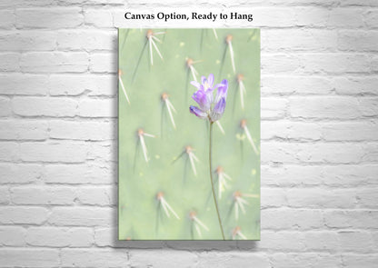 Pale Green Prickly Pear Cactus Art Print with Dainty Desert Flower