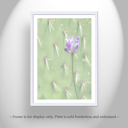 Pale Green Prickly Pear Cactus Art Print with Dainty Desert Flower