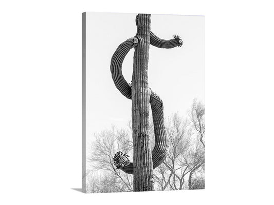Desert Saguaro Cactus as Dollar Sign | Bold Wall Art in Black and White