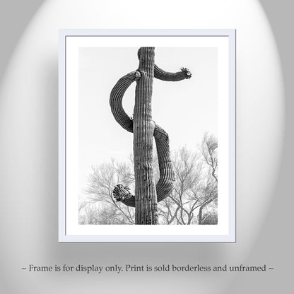 Desert Saguaro Cactus as Dollar Sign | Bold Wall Art in Black and White