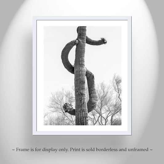 Desert Saguaro Cactus as Dollar Sign | Bold Wall Art in Black and White