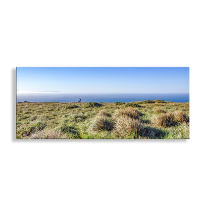 Panoramic view of a grassy hill with ocean in the background. My beautiful Point Reyes panoramic art photograph! Featuring a wild deer and gorgeous perennial grasslands. Can you help me identify this species of grass? We are looking southwest straight into the mighty Pacific Ocean! Original, unique signed art by Murray Bolesta.