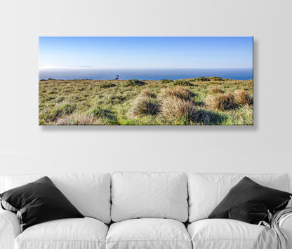 Painterly Art Print of Point Reyes National Seashore Landscape Panorama with Wild Deer (Copy)