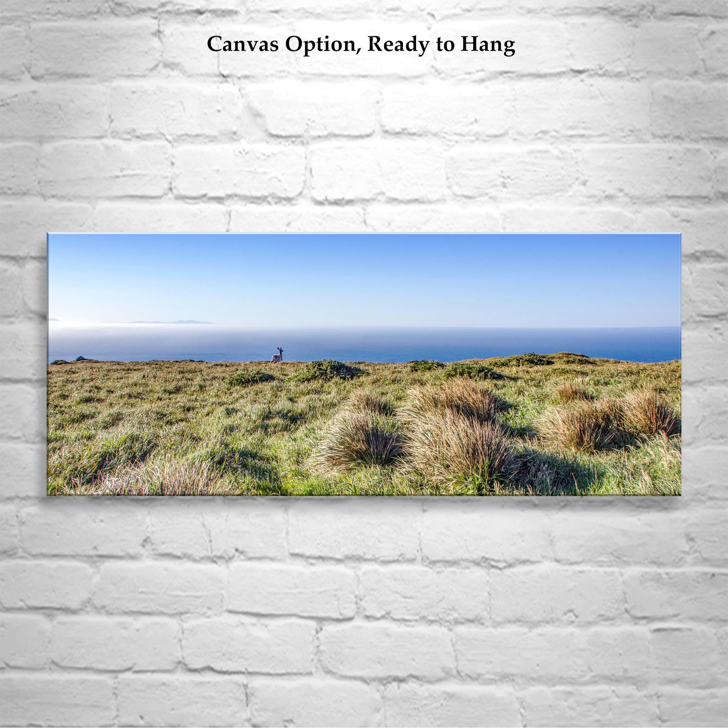 Painterly Art Print of Point Reyes National Seashore Landscape Panorama with Wild Deer (Copy)